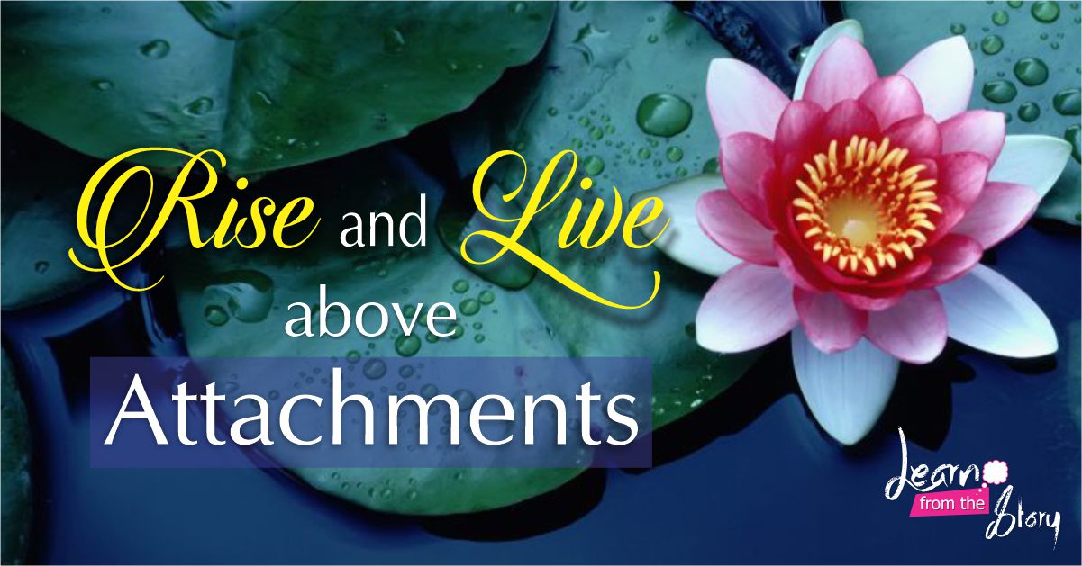 Rise and Live above Attachments