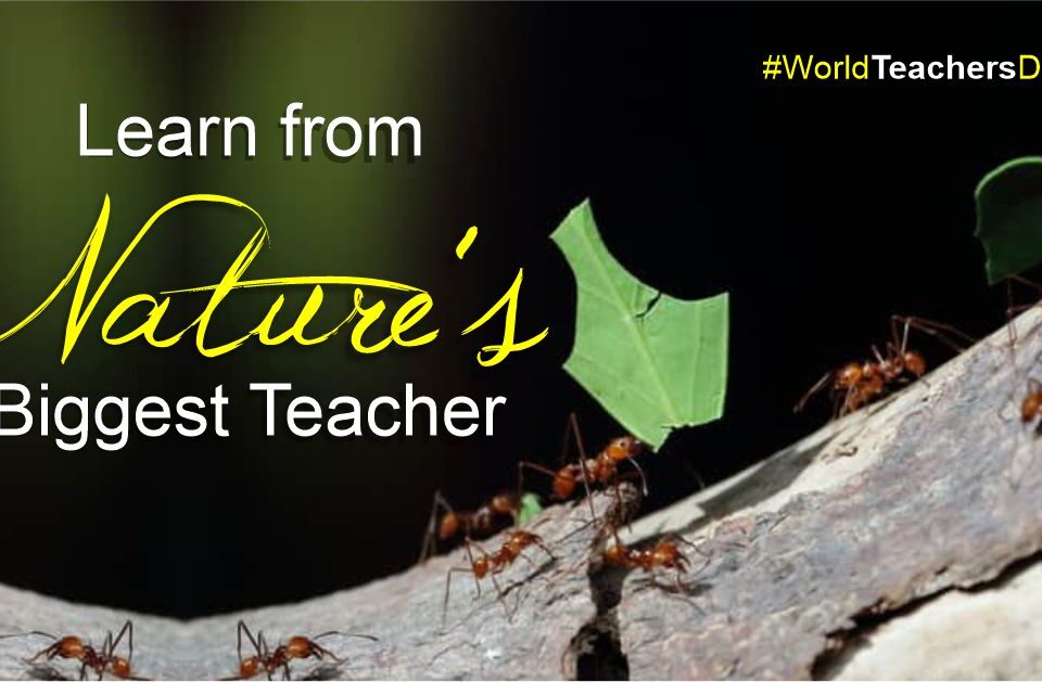 Learn from Nature’s Biggest Teacher