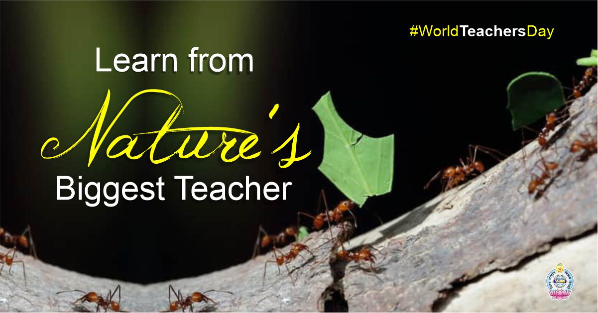 Learn from Nature’s Biggest Teacher