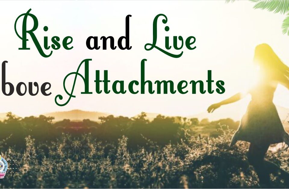 Rise and Live above Attachments